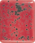 144201
