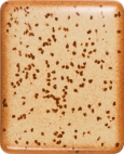 143205
