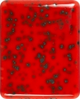 144101
